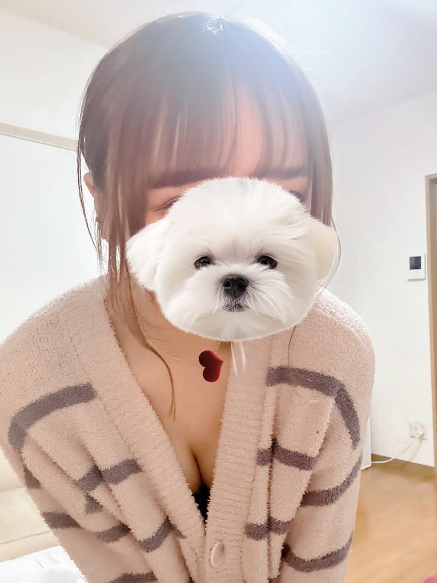 月雪桃花