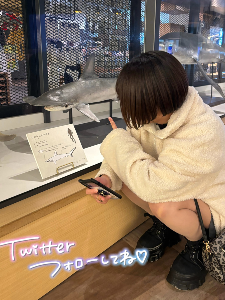 夏野すいか