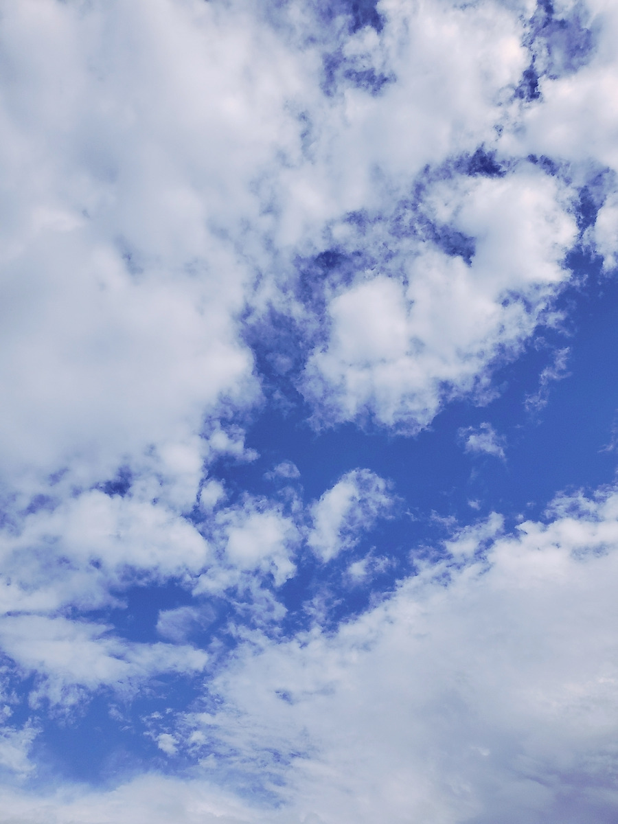 時雨ほたる